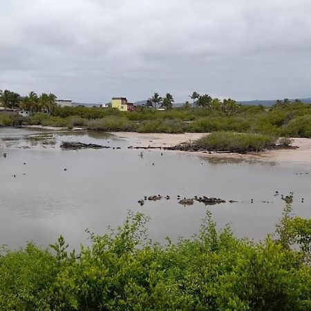 Flamingos House Puerto Villamil Kültér fotó